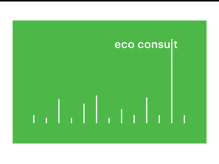 Eco consult
